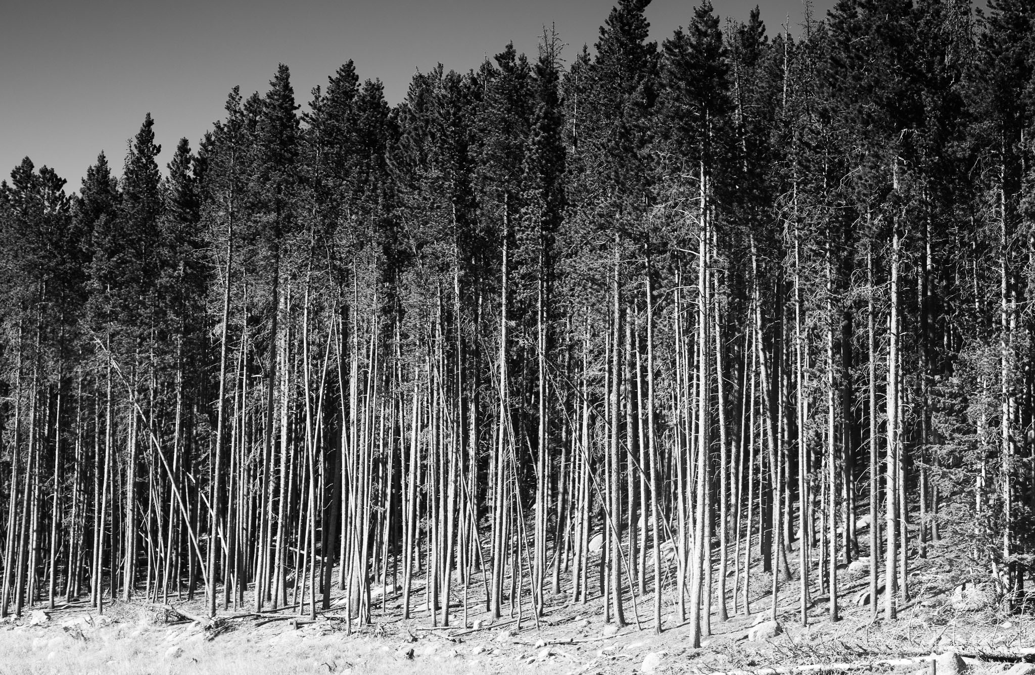 _TS_1130-Edit.jpg