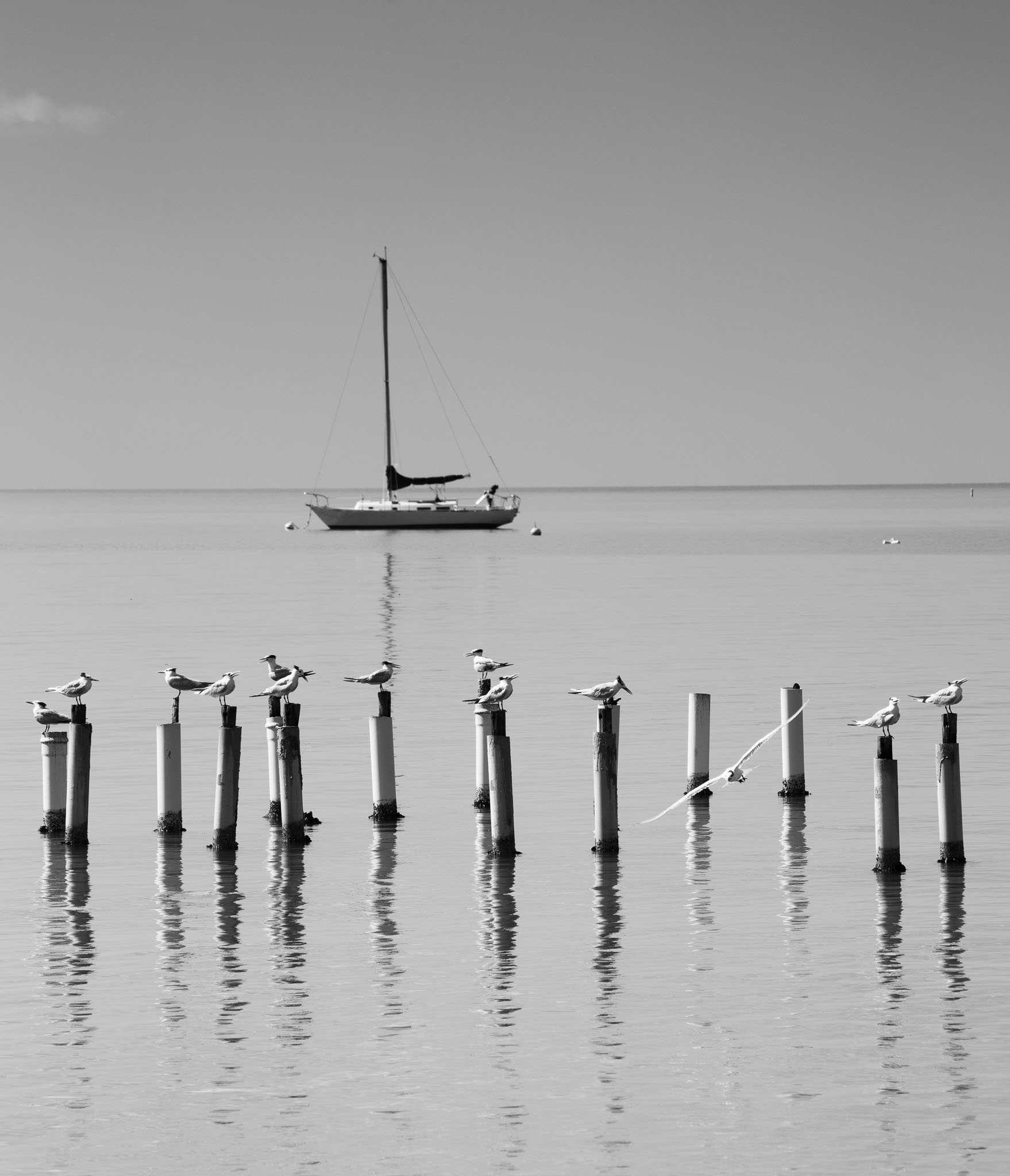 pr2016-182-Edit.jpg