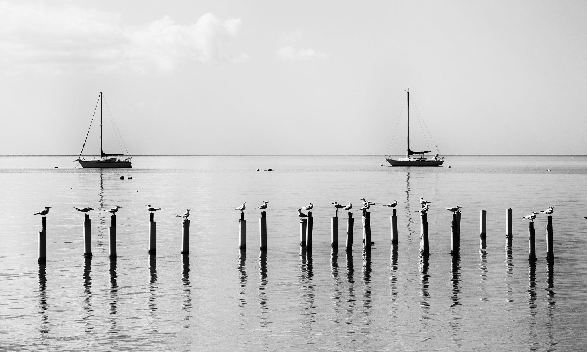 pr2016-183-Edit.jpg
