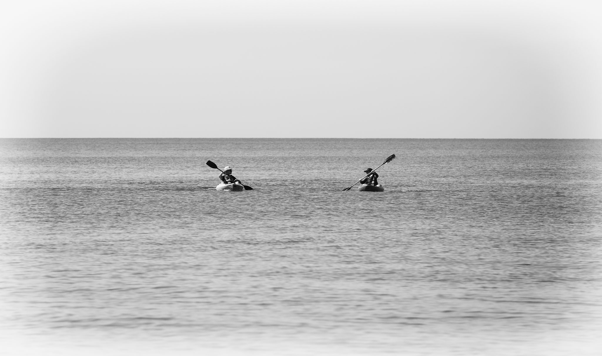 pr2016-375-Edit.jpg