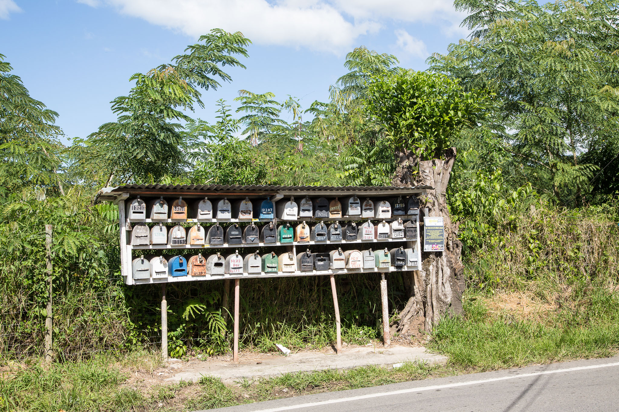 pr2016-380.jpg