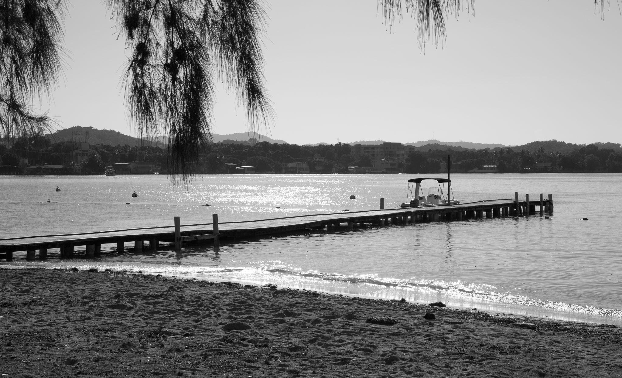 pr2016-466-Edit.jpg