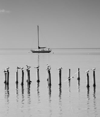 pr2016-182-Edit.jpg