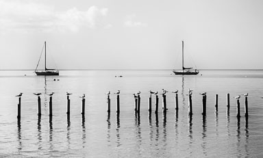 pr2016-183-Edit.jpg