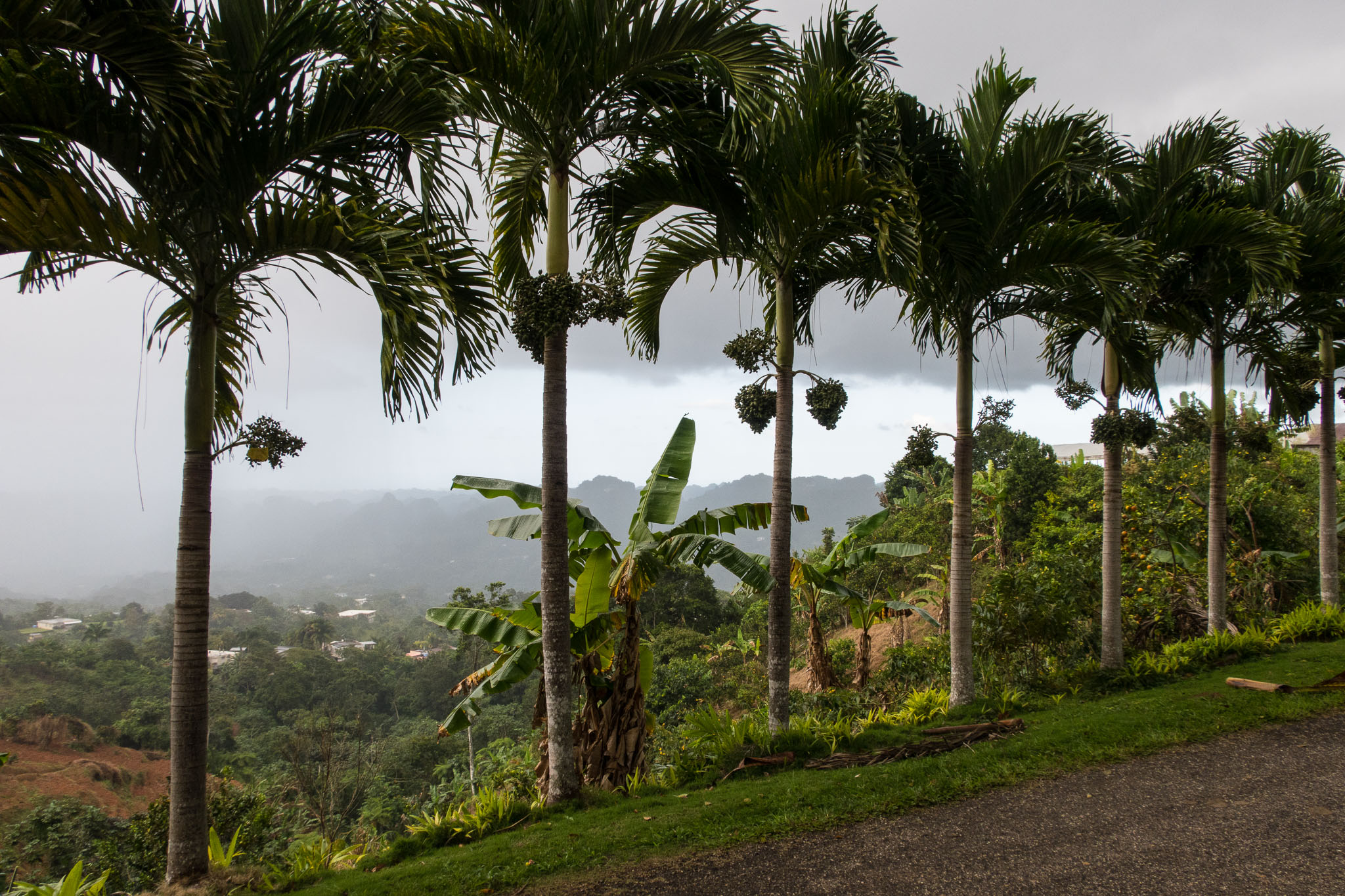 pr2016-1492.jpg