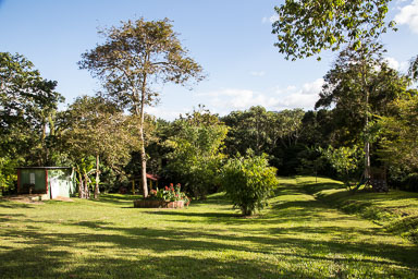 pr2016-498.jpg