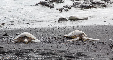 Hawaii2017-5D3-019.jpg