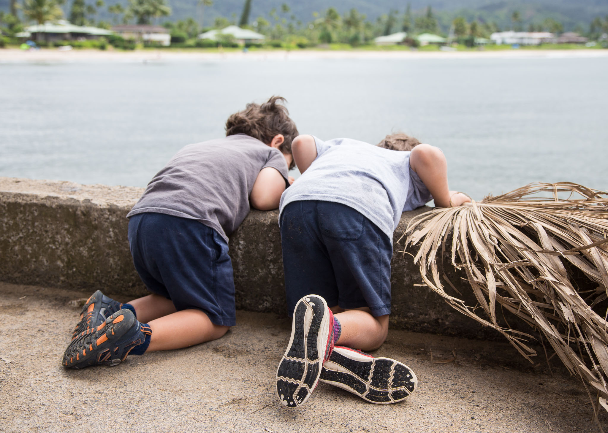 Hawaii2017-5D3-087.jpg