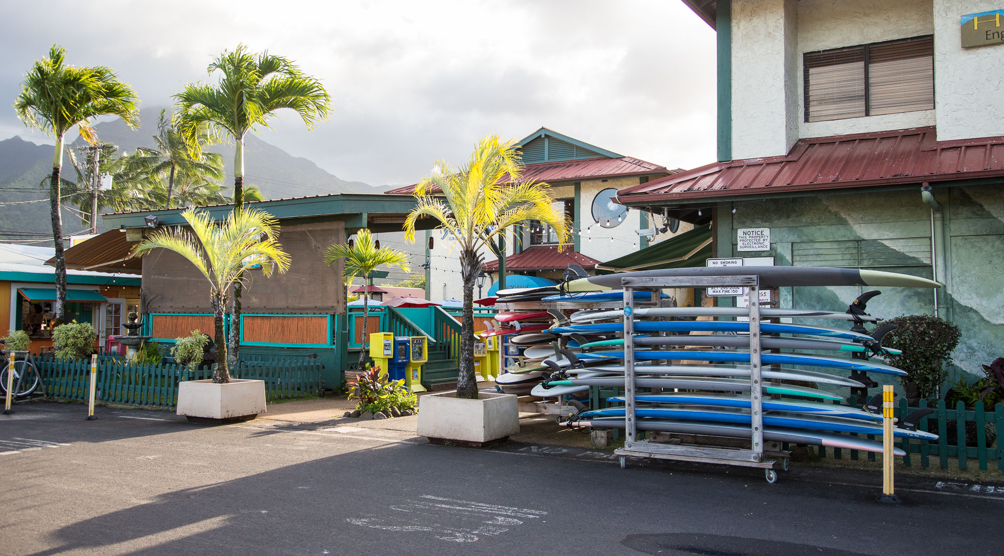 Hawaii2017-5D3-114.jpg