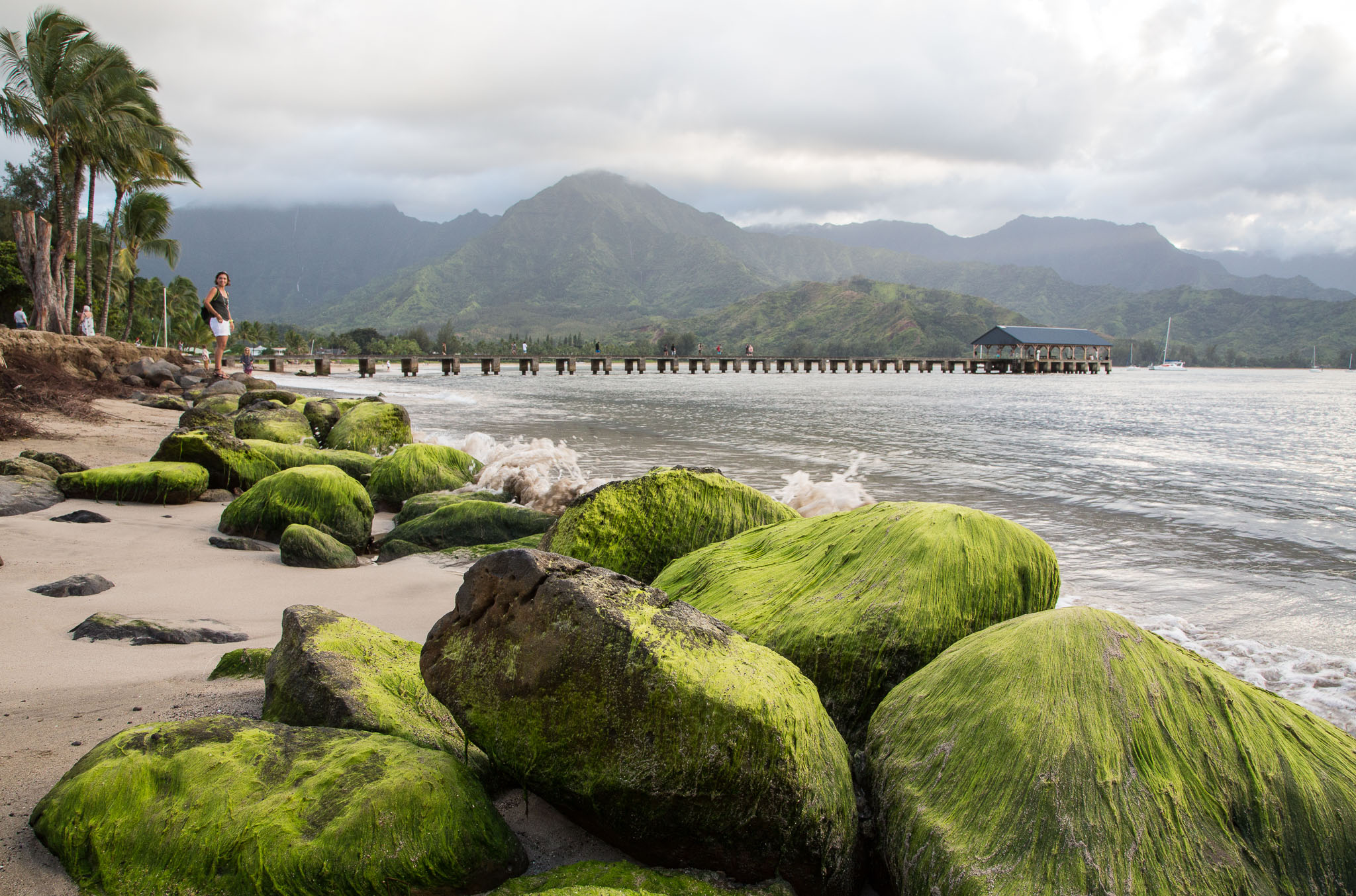 Hawaii2017-5D3-132.jpg