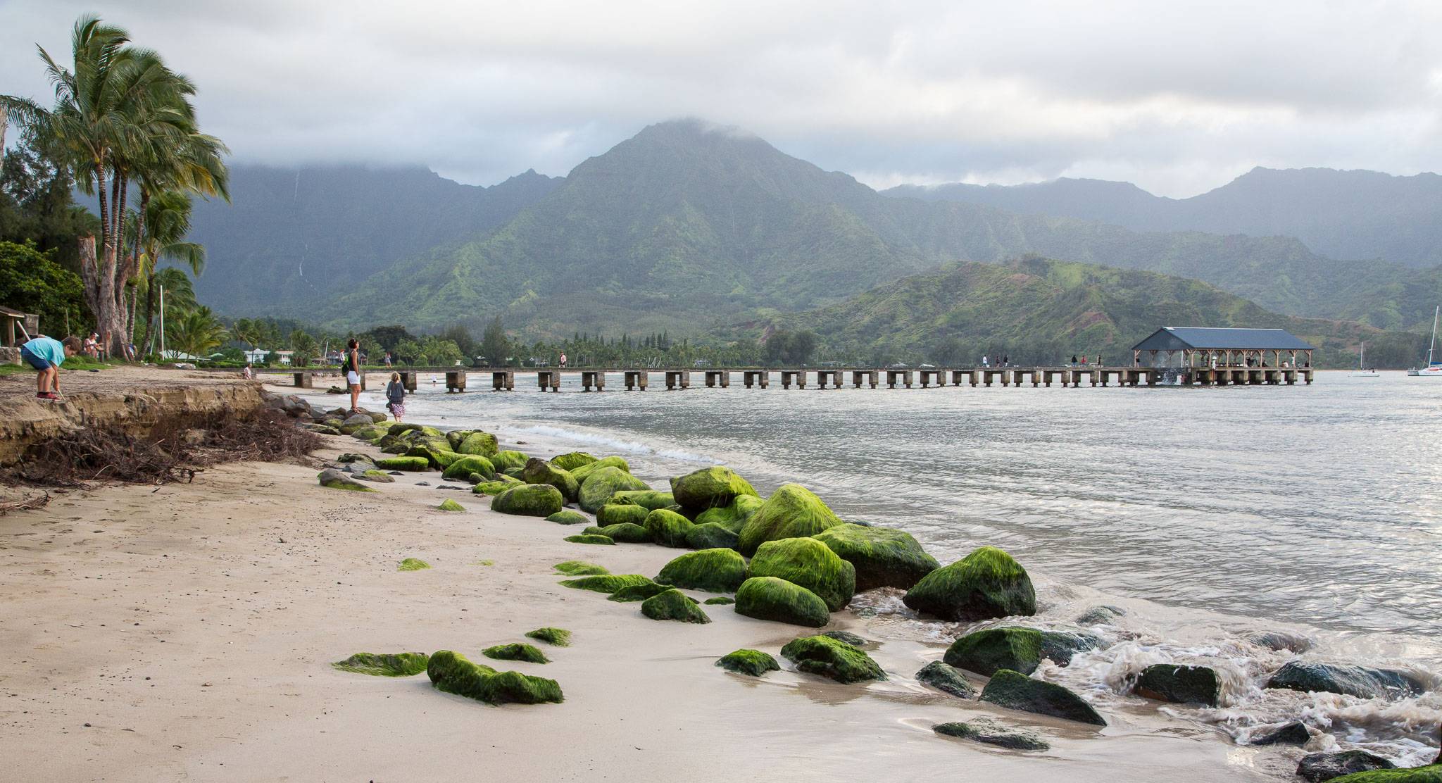 Hawaii2017-5D3-133.jpg