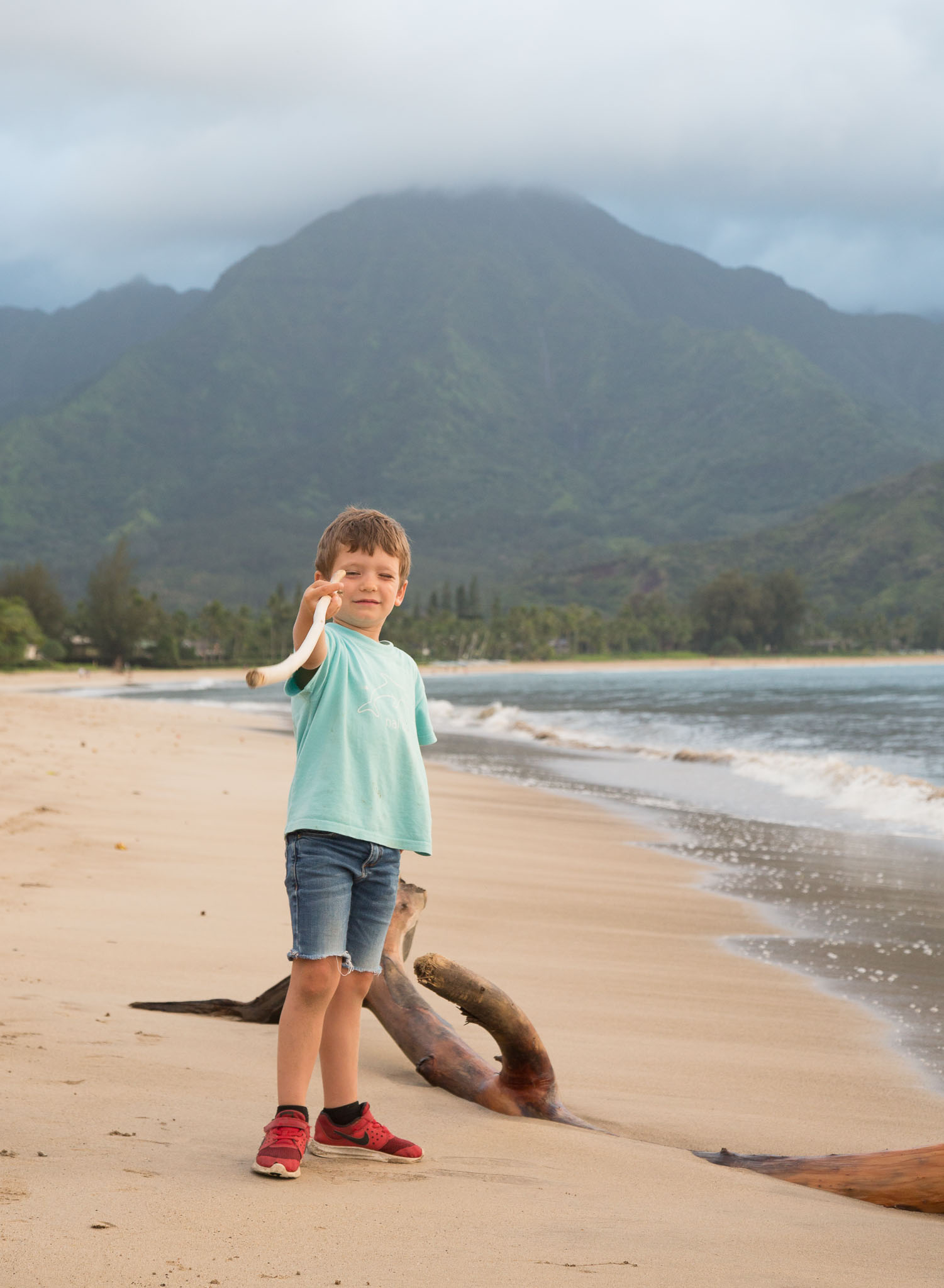 Hawaii2017-5D3-187.jpg