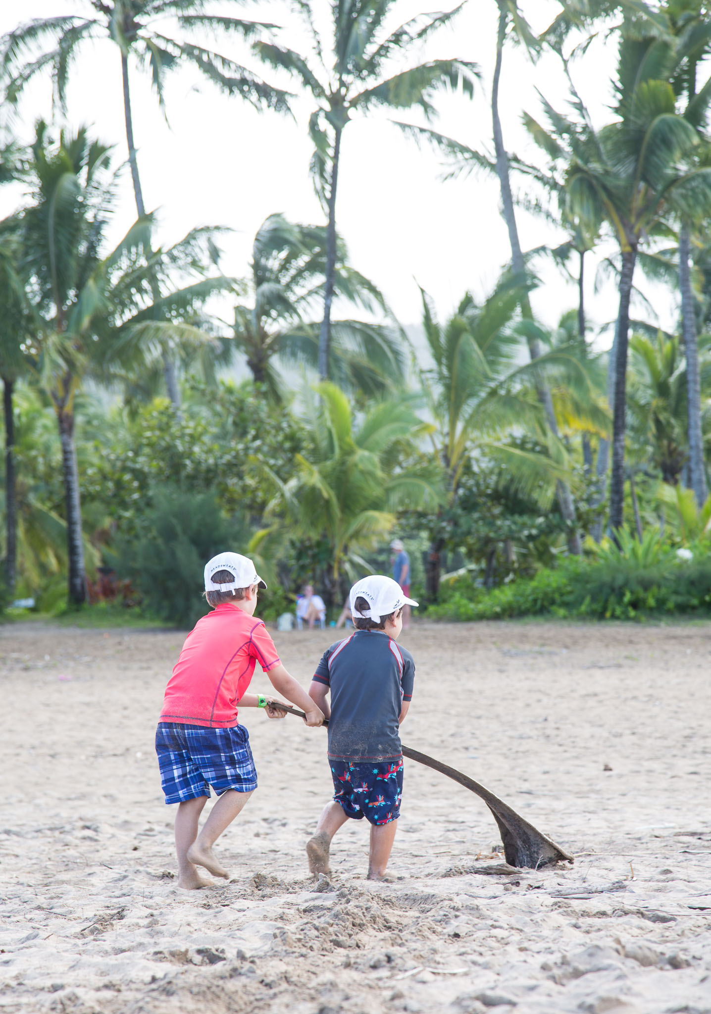 Hawaii2017-5D3-233.jpg