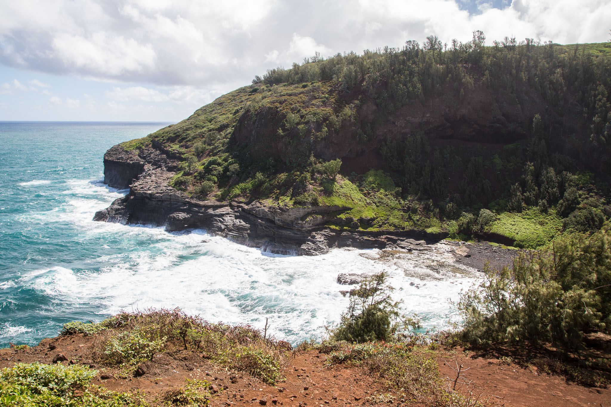 Hawaii2017-5D3-411.jpg