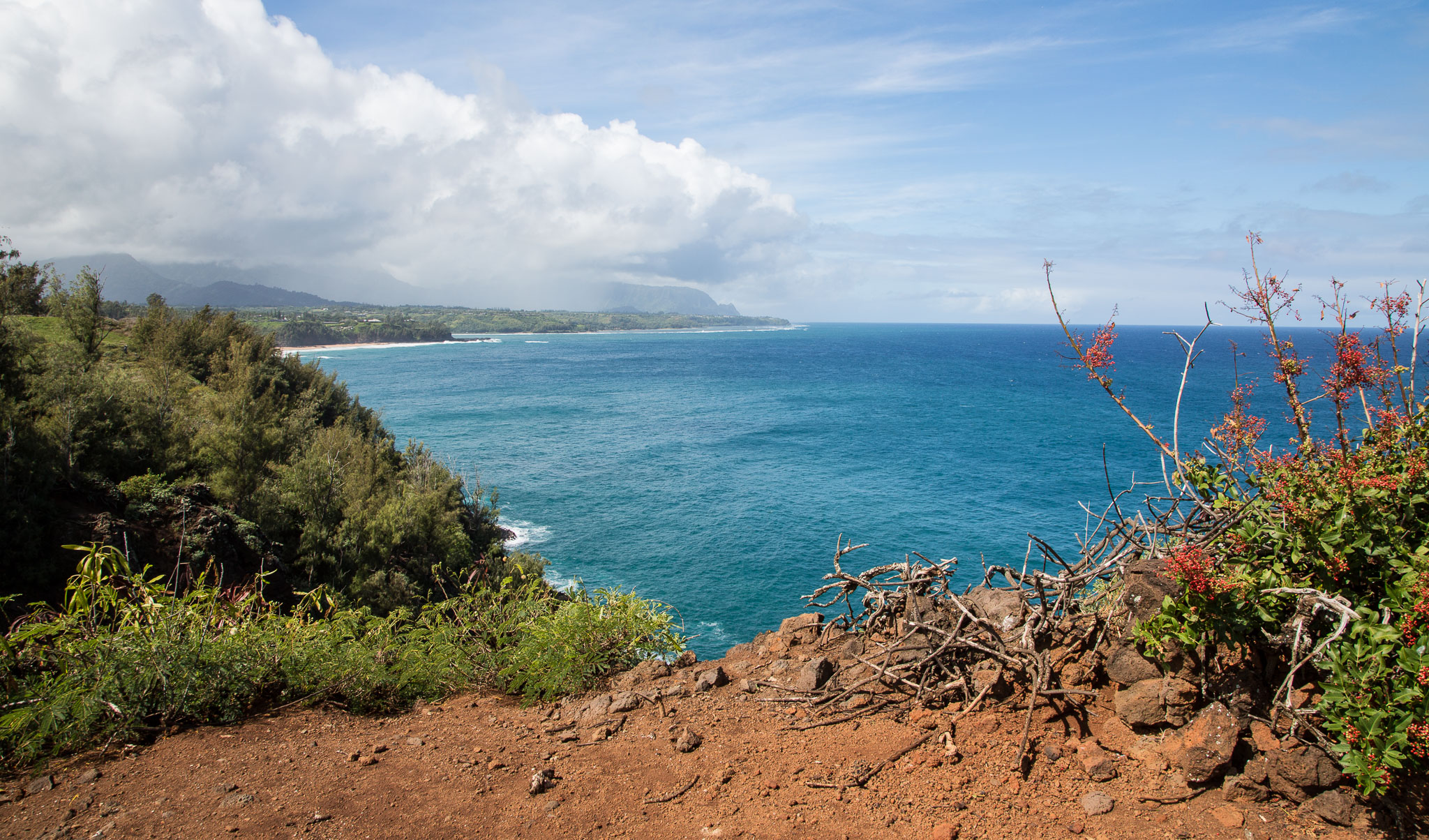 Hawaii2017-5D3-412.jpg