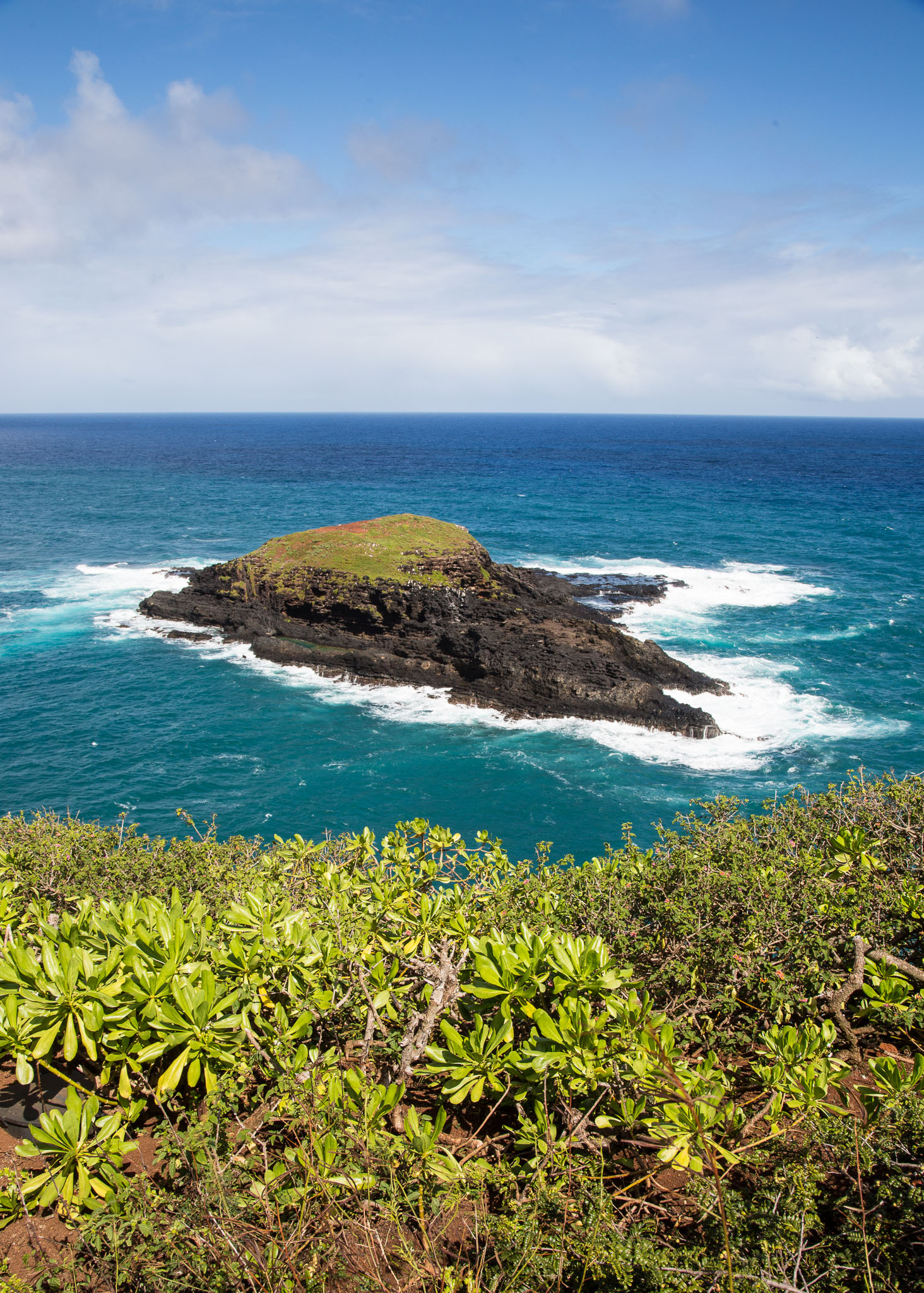 Hawaii2017-5D3-417.jpg