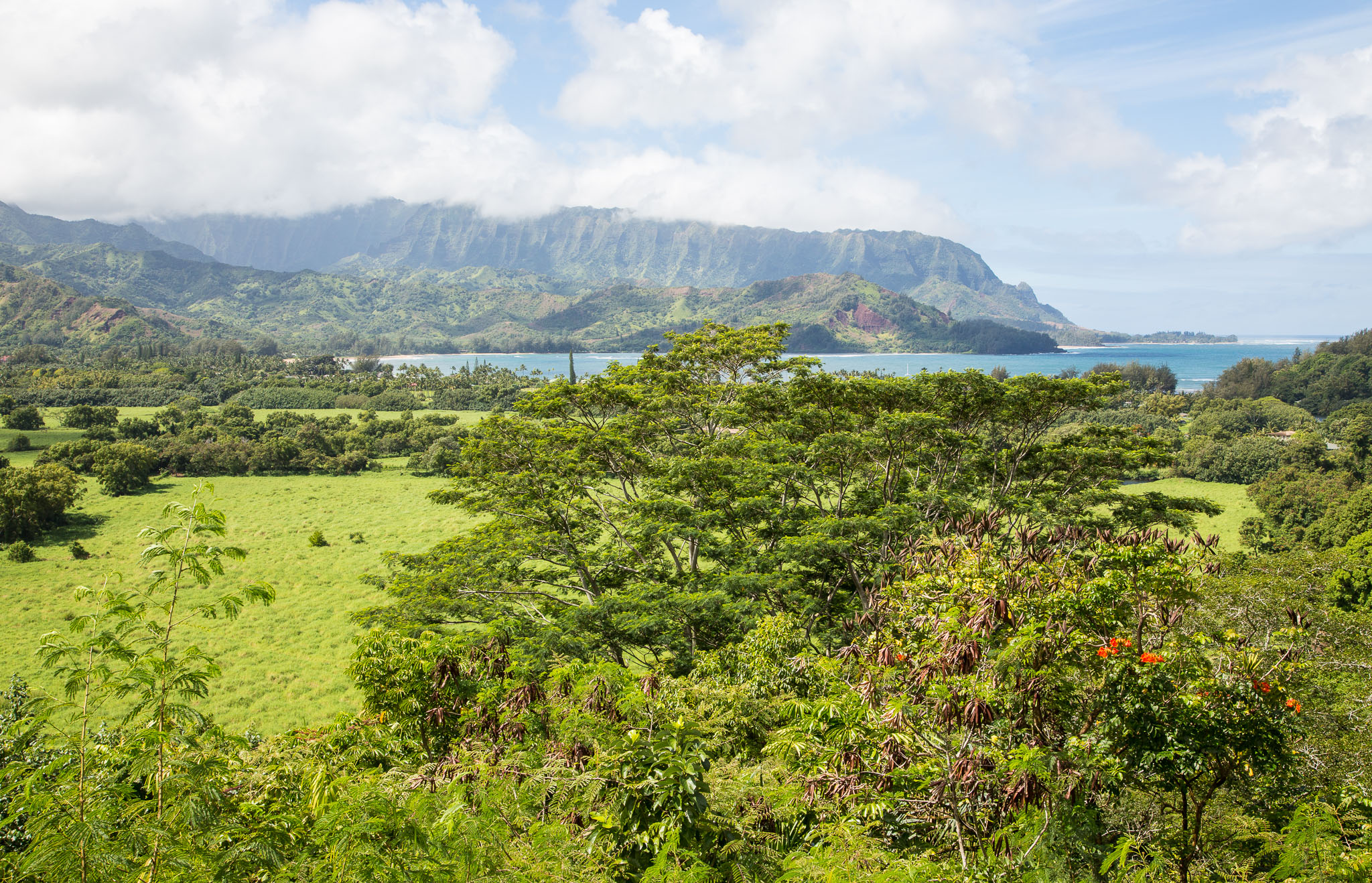 Hawaii2017-5D3-448.jpg