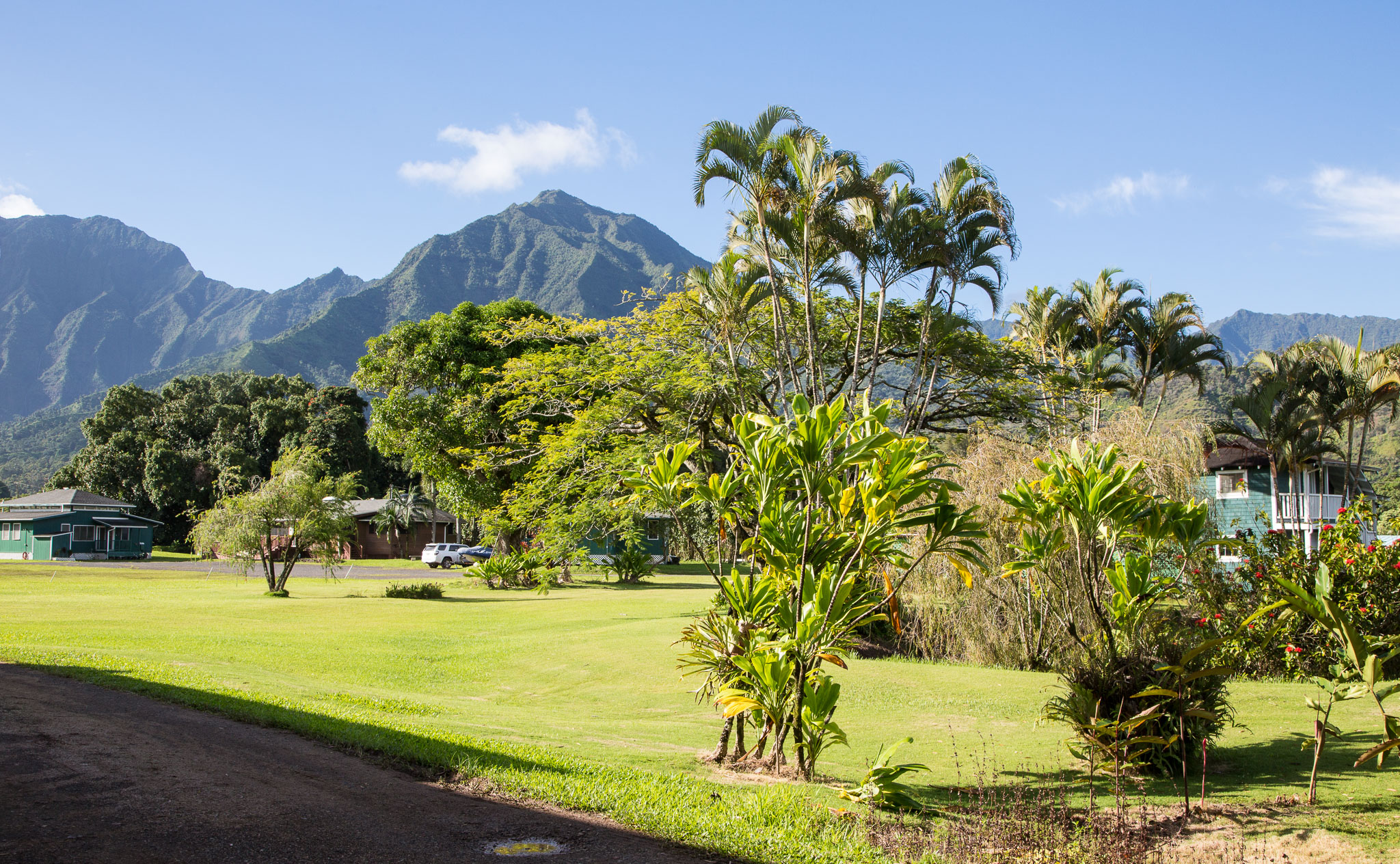 Hawaii2017-5D3-555.jpg