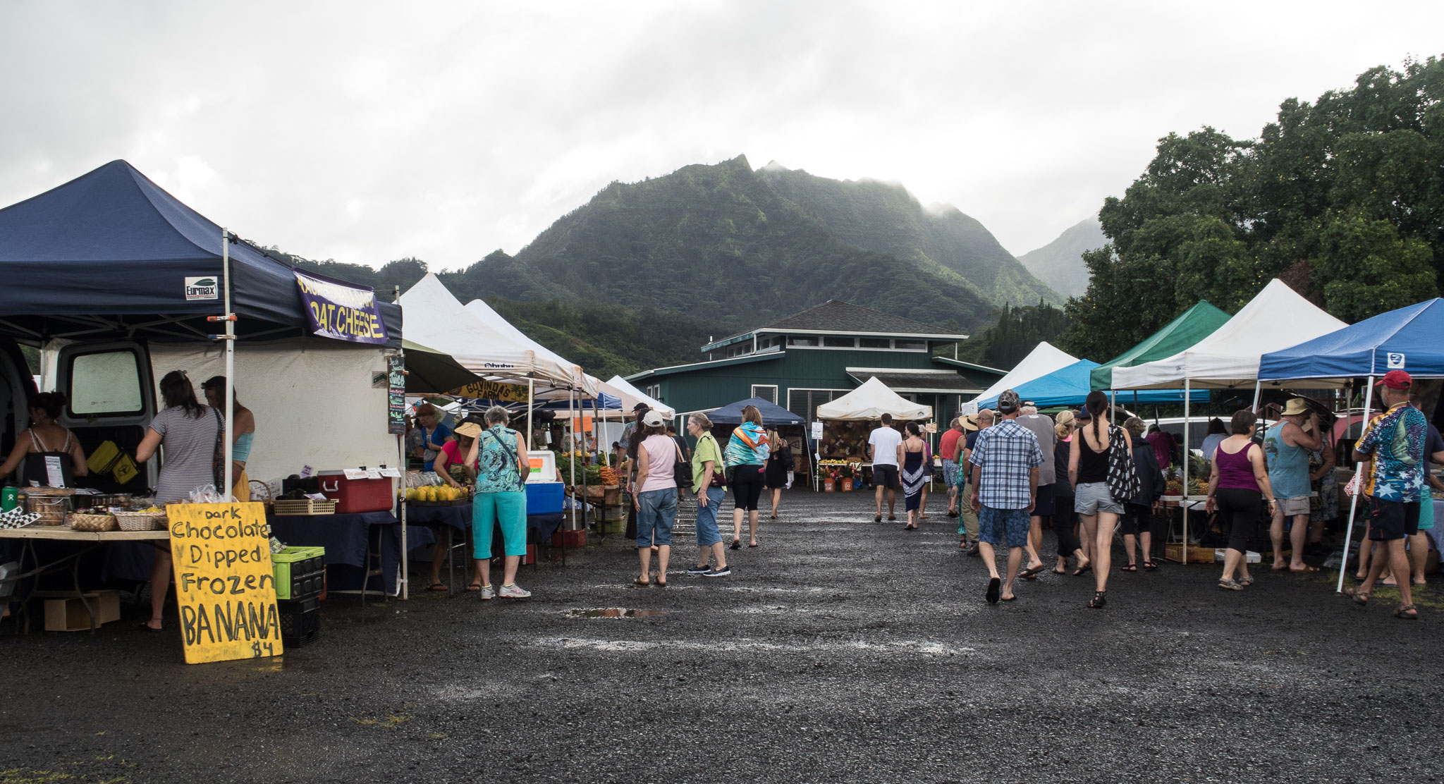 Hawaii2017-G7x-351.jpg