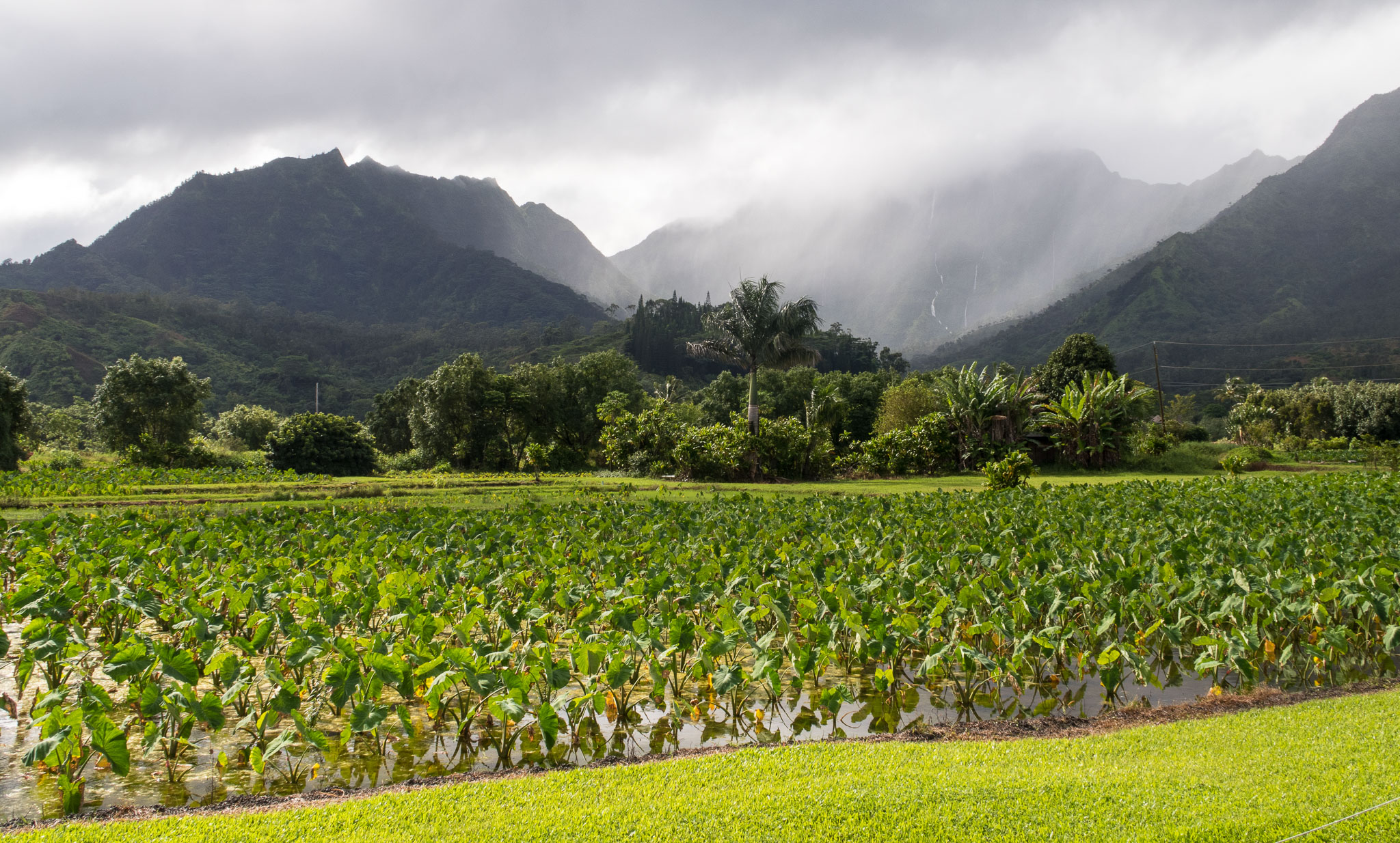 Hawaii2017-G7x-357.jpg