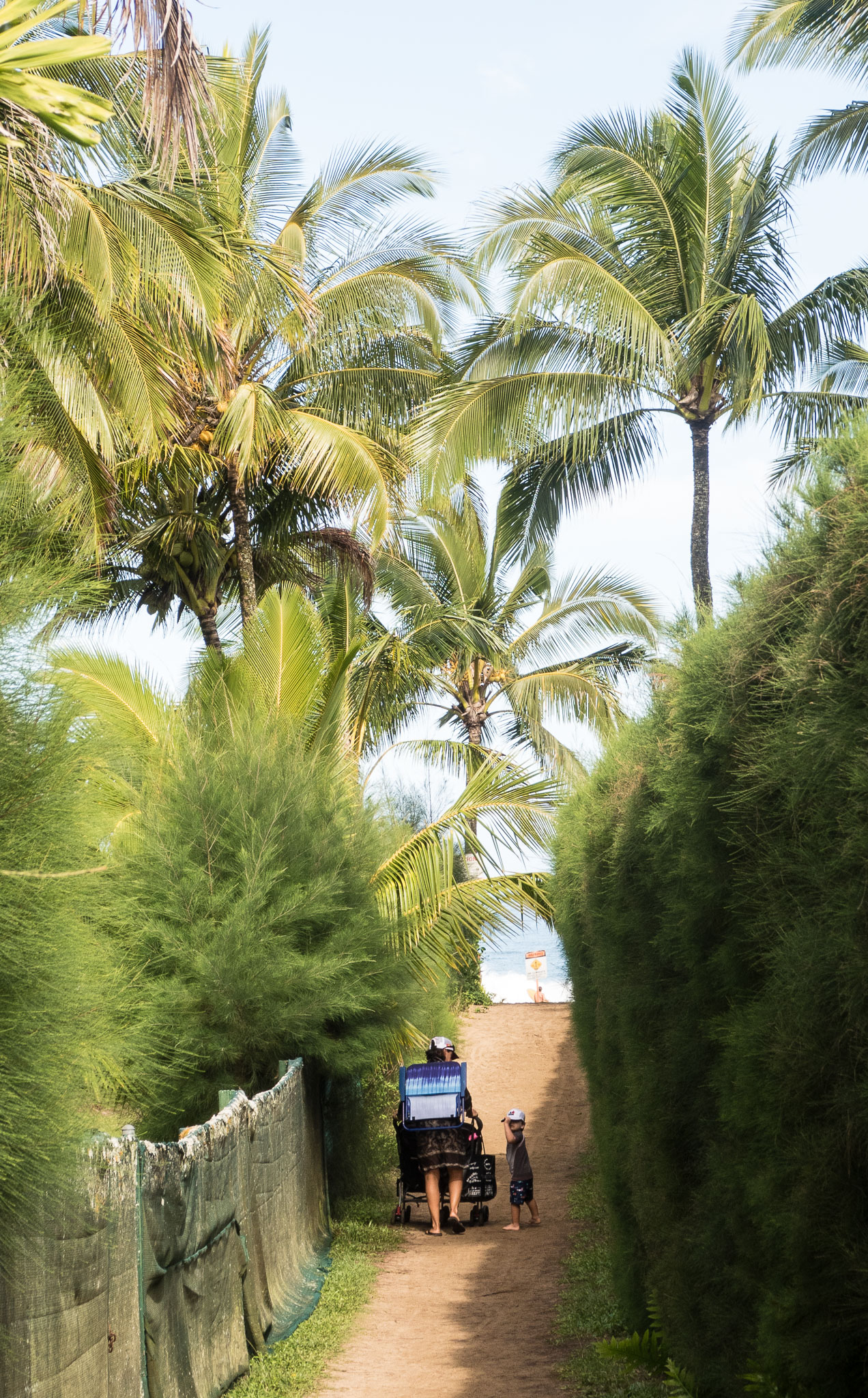Hawaii2017-G7x-363.jpg