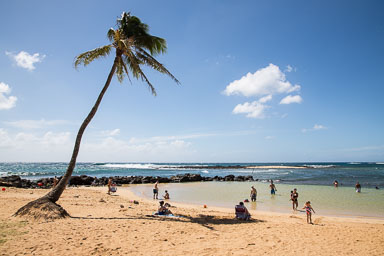 Hawaii2017-5D3-296.jpg