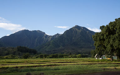 Hawaii2017-5D3-536.jpg