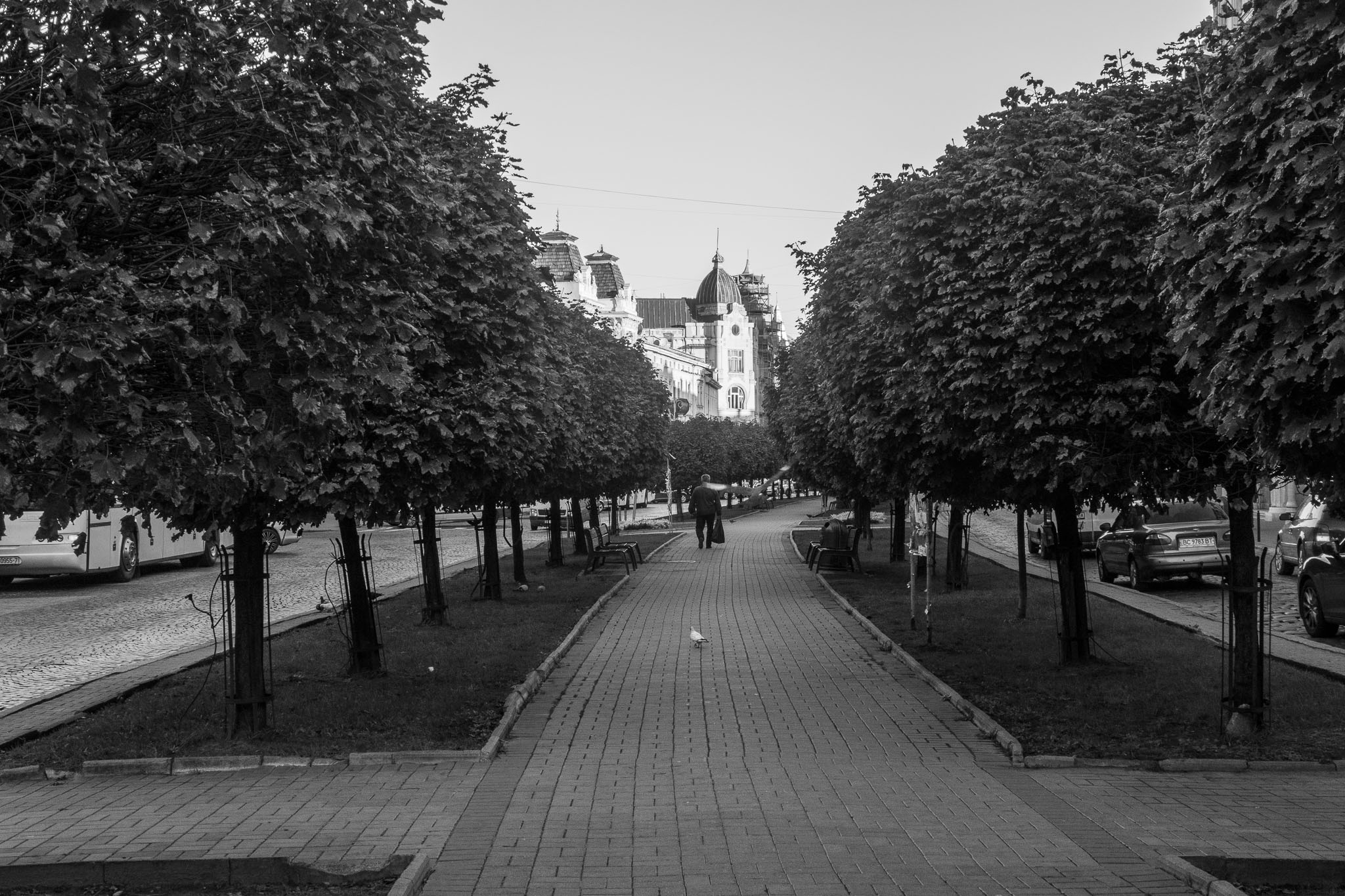 untitled-739.jpg