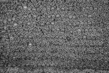 untitled-827.jpg