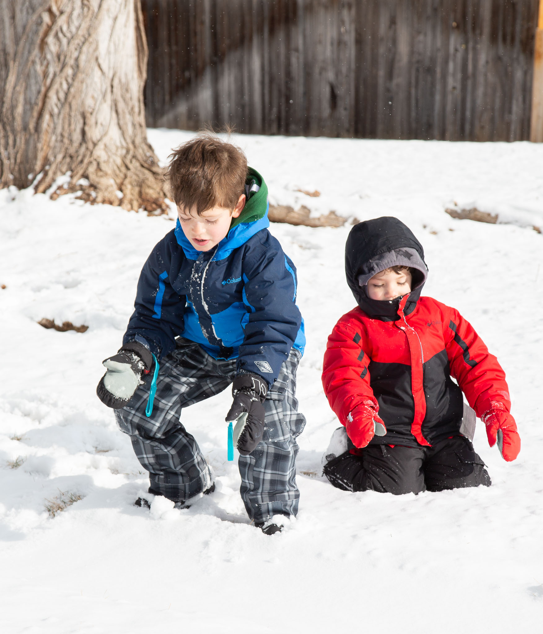 ColoradoWinter2018-080.jpg