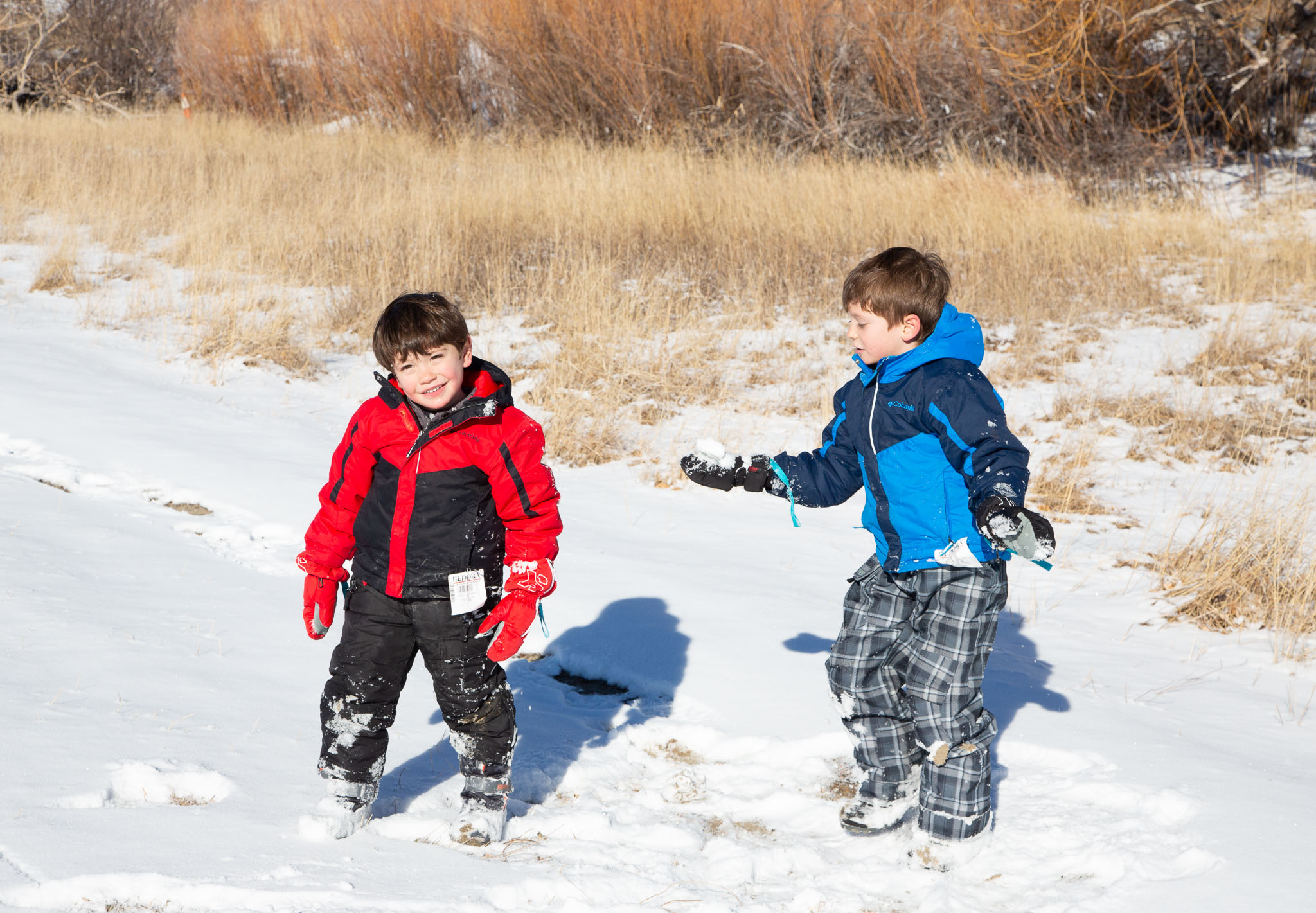ColoradoWinter2018-124.jpg