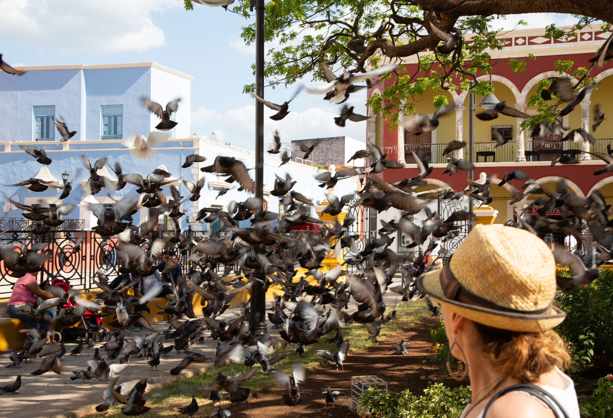 Campeche2019-018.jpg