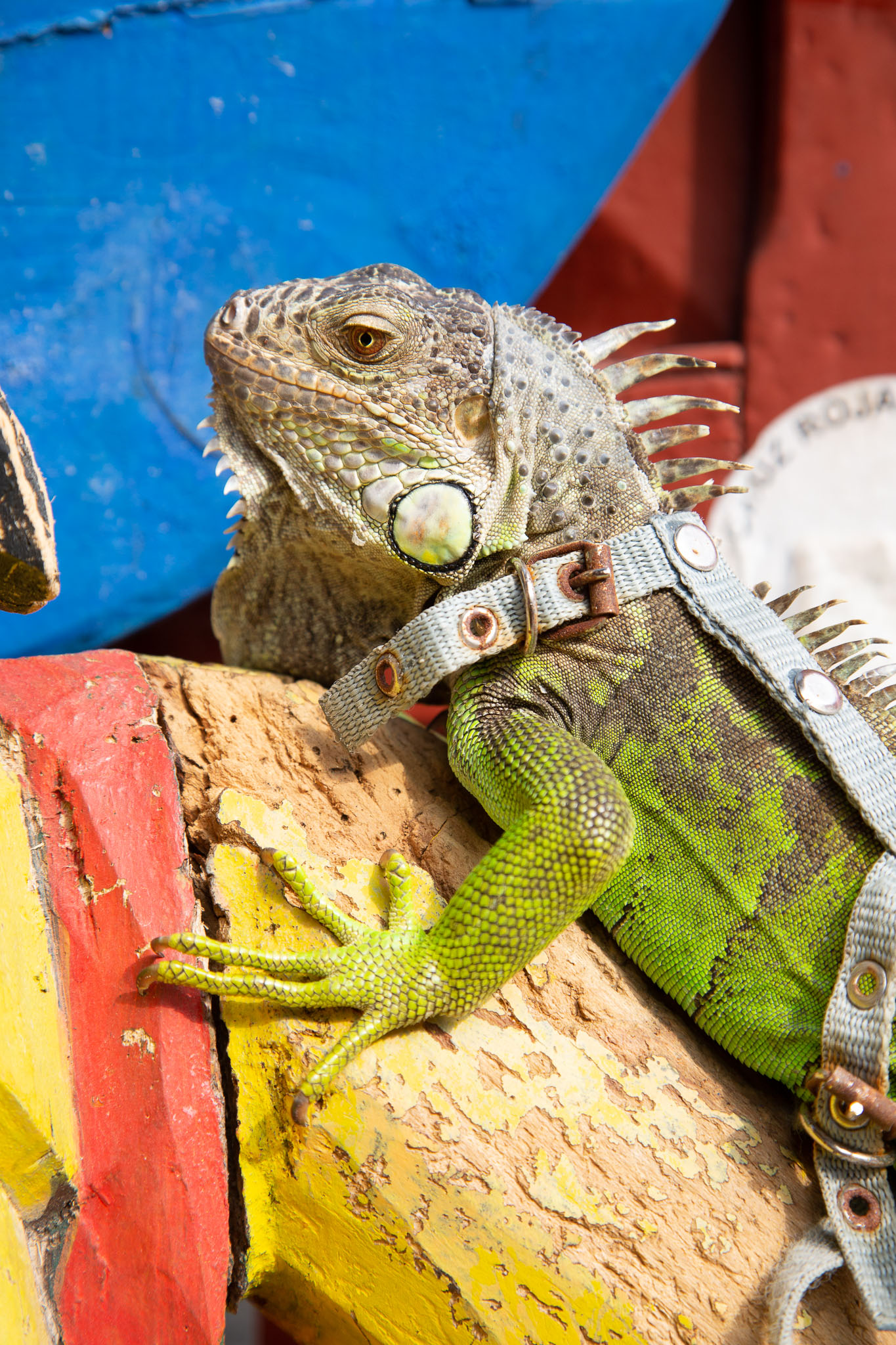 Campeche2019-170.jpg