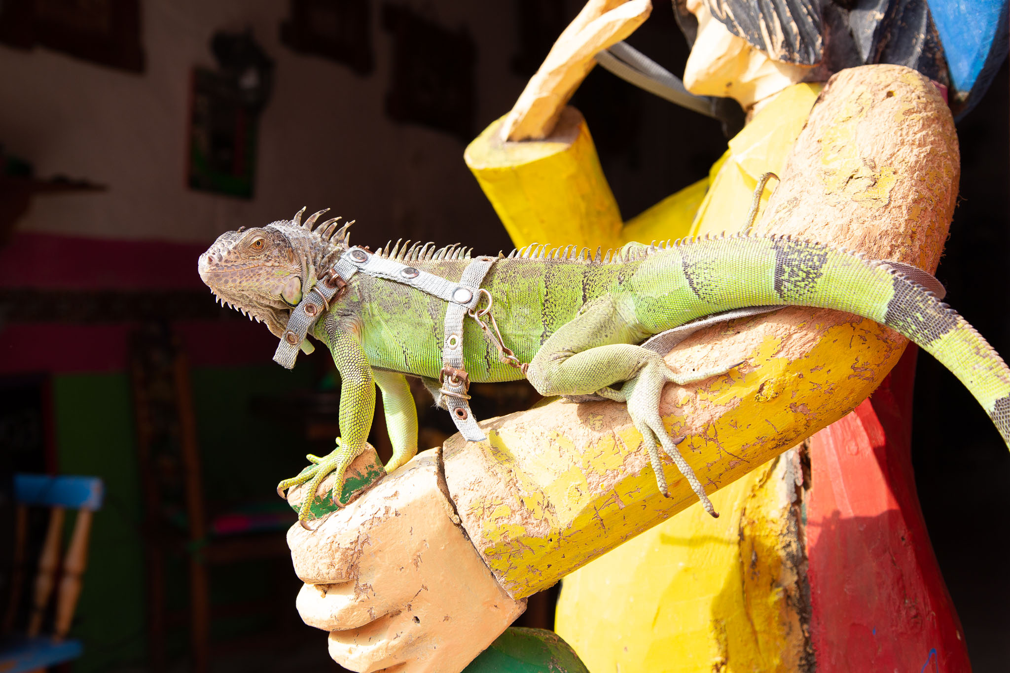 Campeche2019-176.jpg