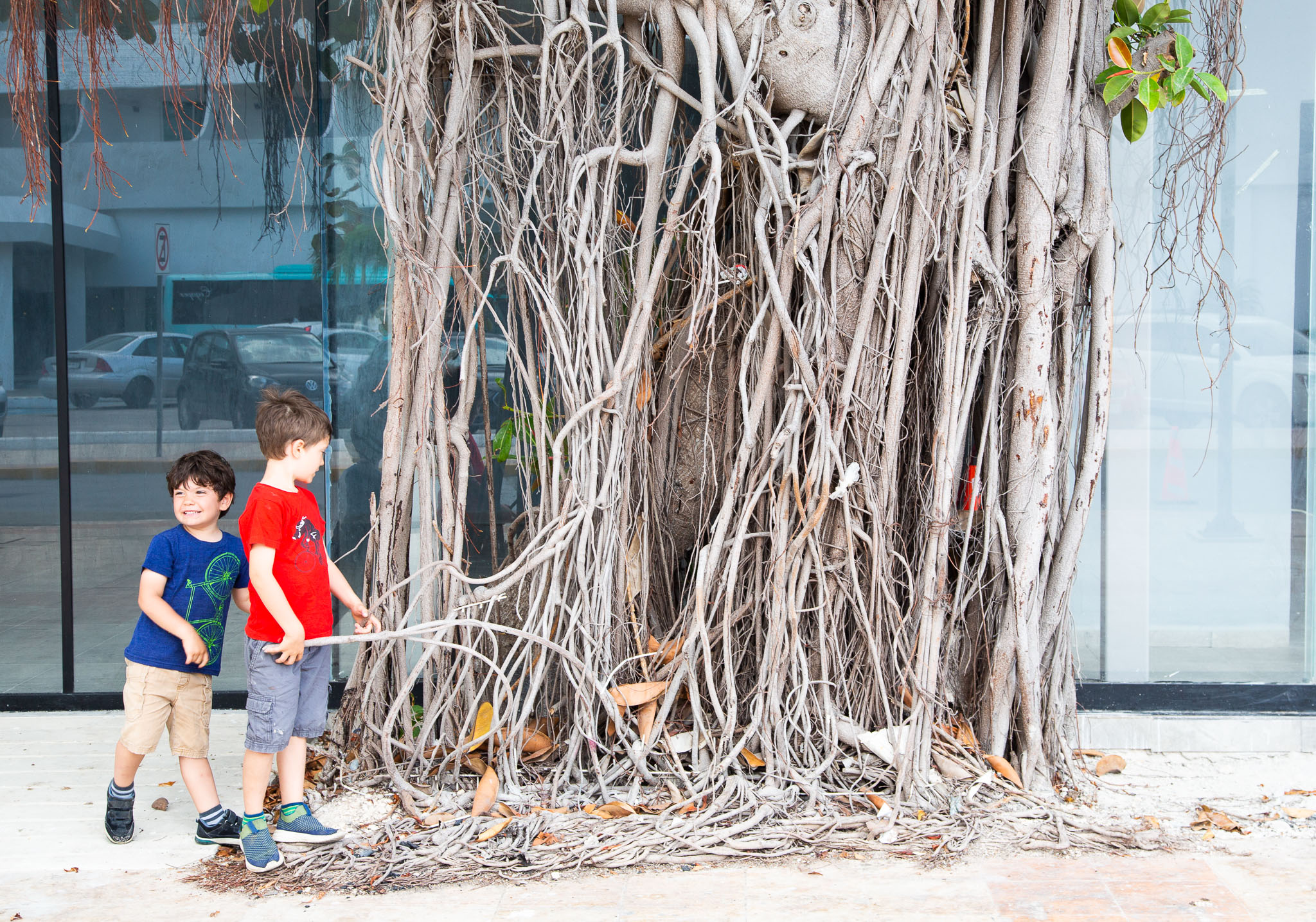 Campeche2019-212.jpg