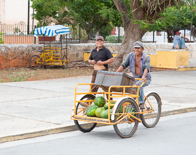 Campeche2019-240.jpg