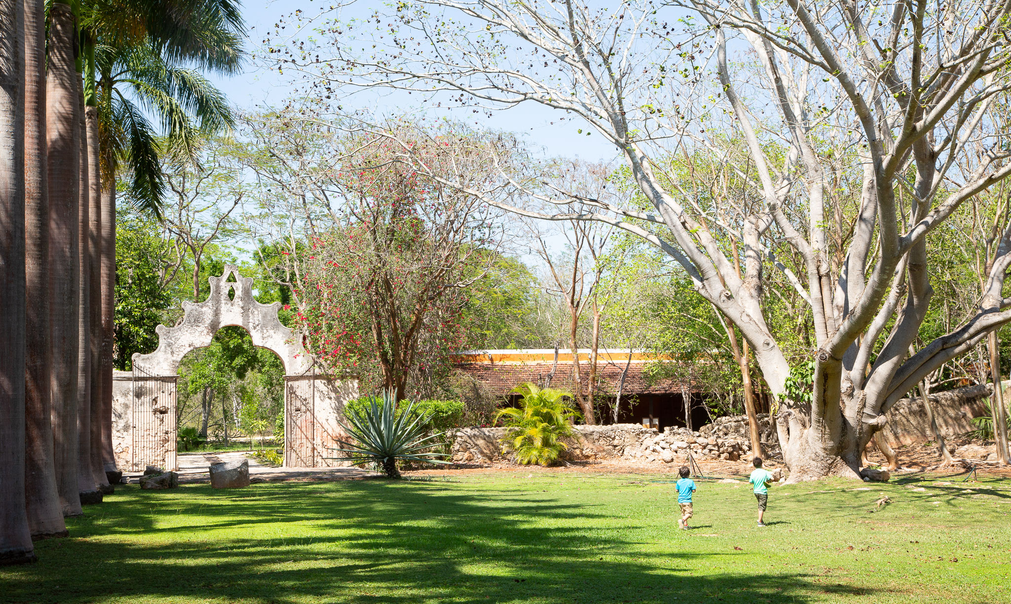 Merida2019-240.jpg