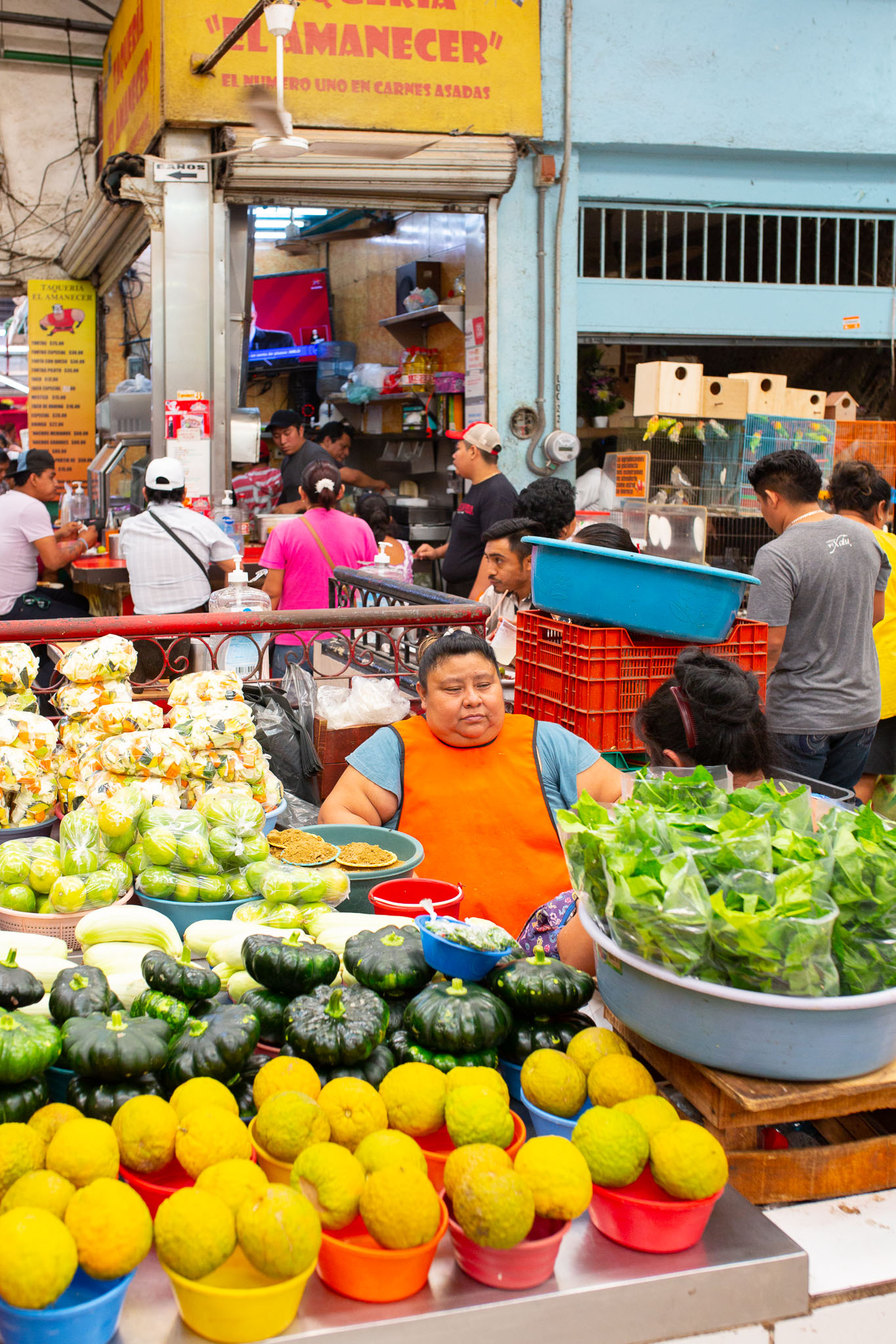 Merida2019-296.jpg