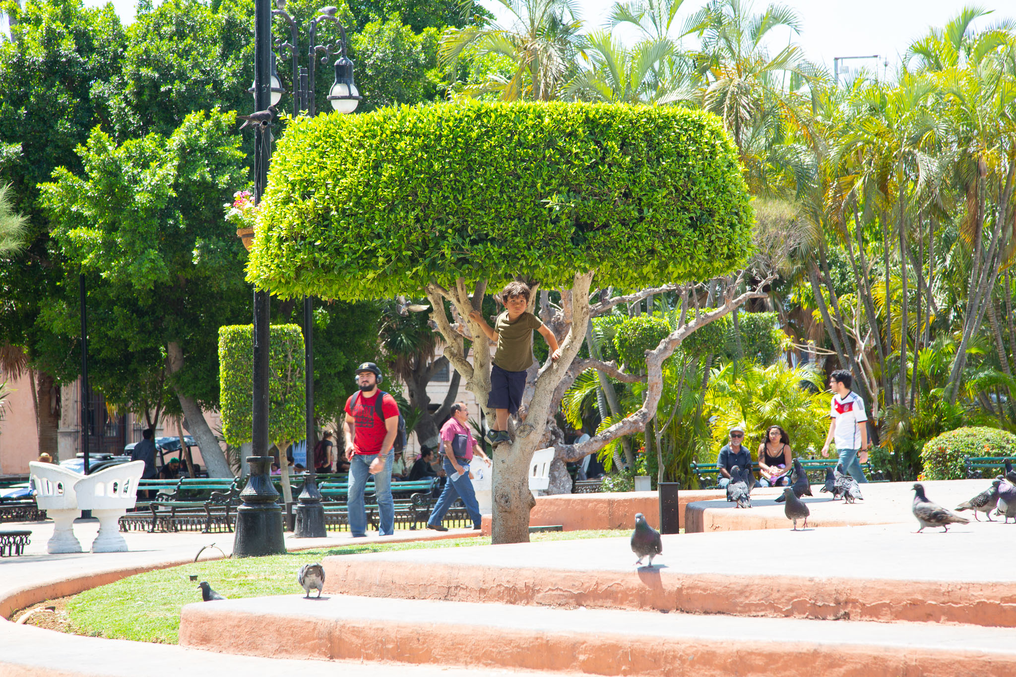 Merida2019-353.jpg