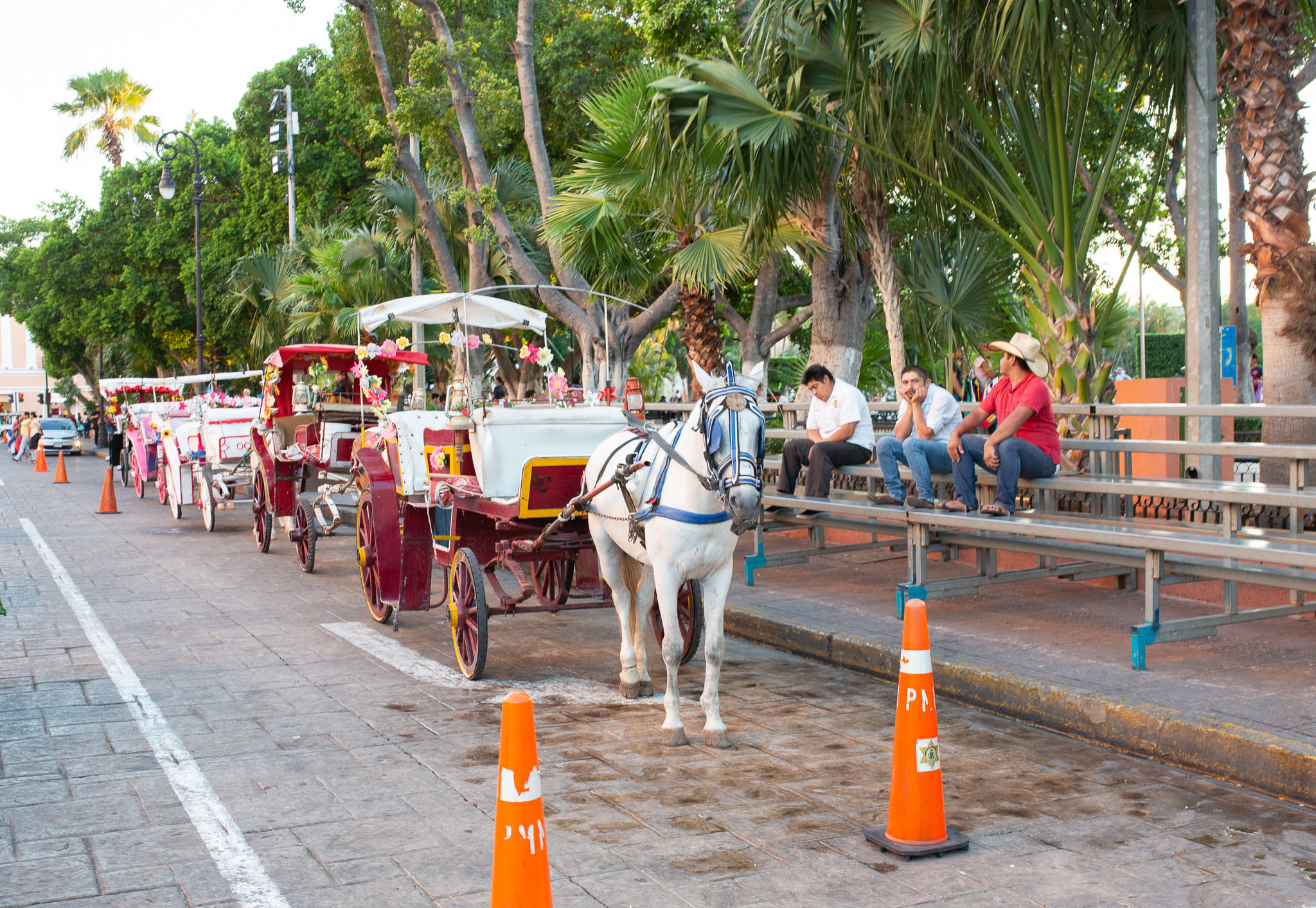 Merida2019-376.jpg