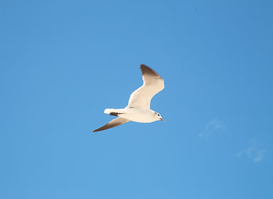 Merida2019-048.jpg