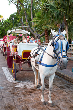 Merida2019-381.jpg