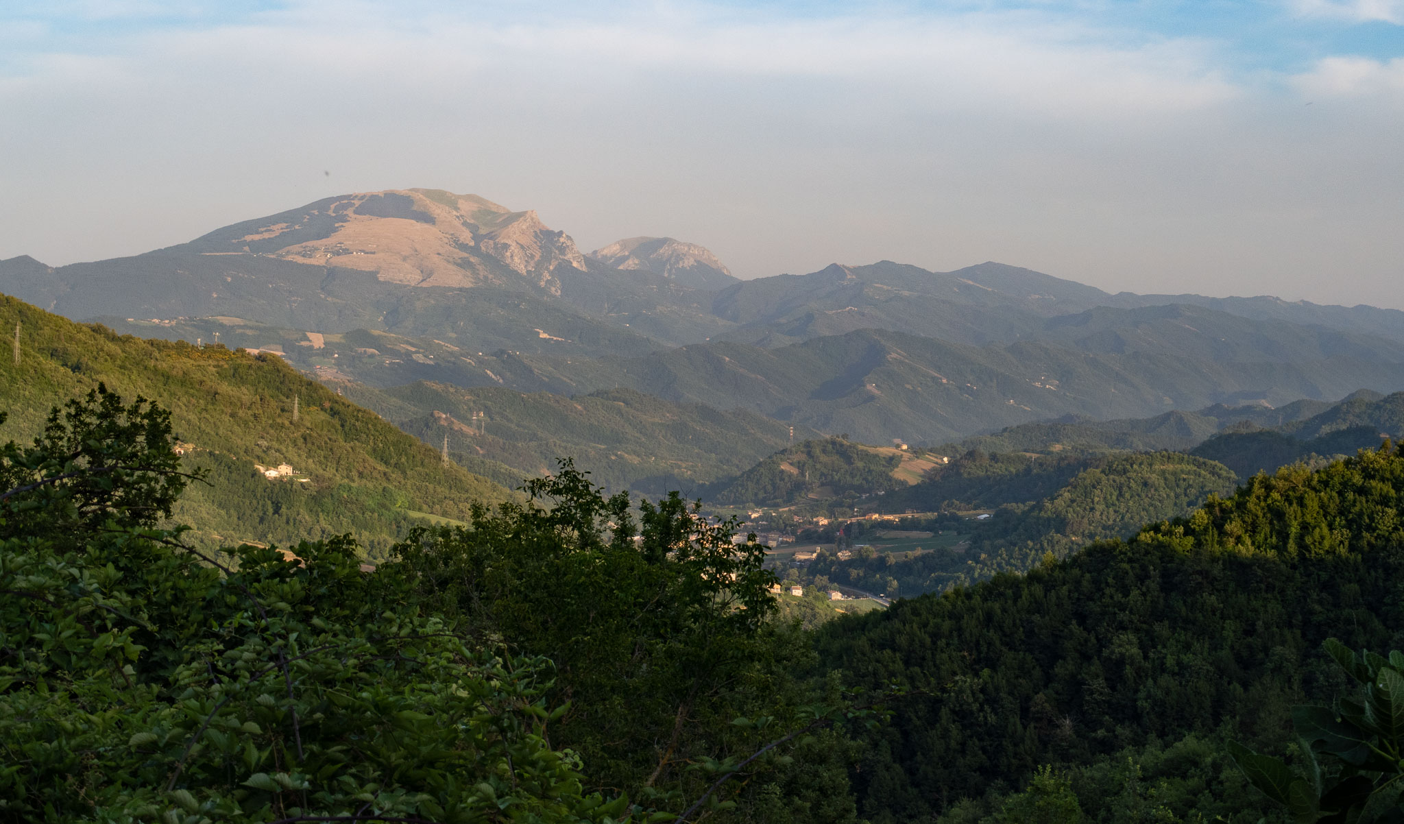 IMG_4389.jpg