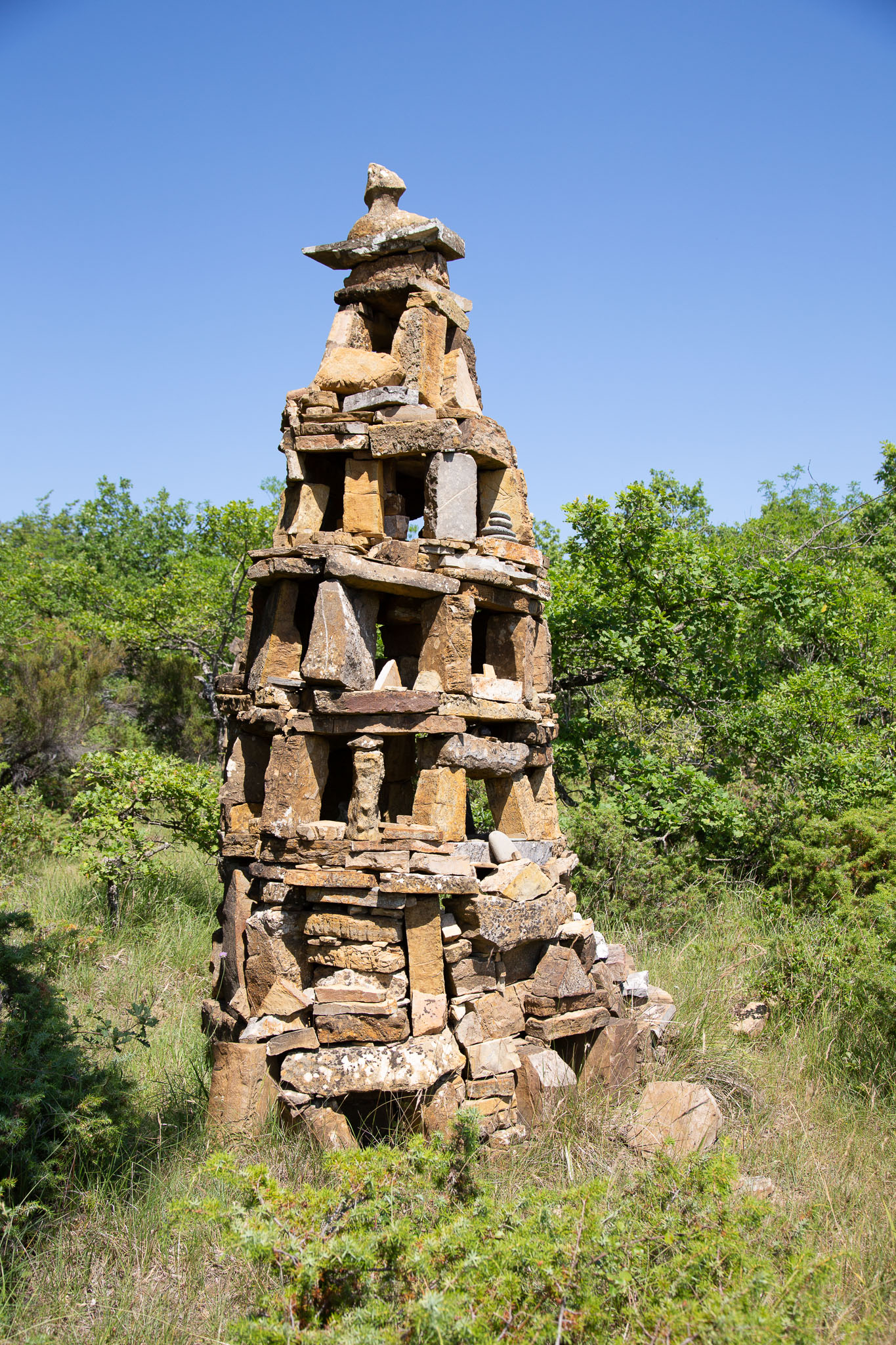 _TS_3596.jpg