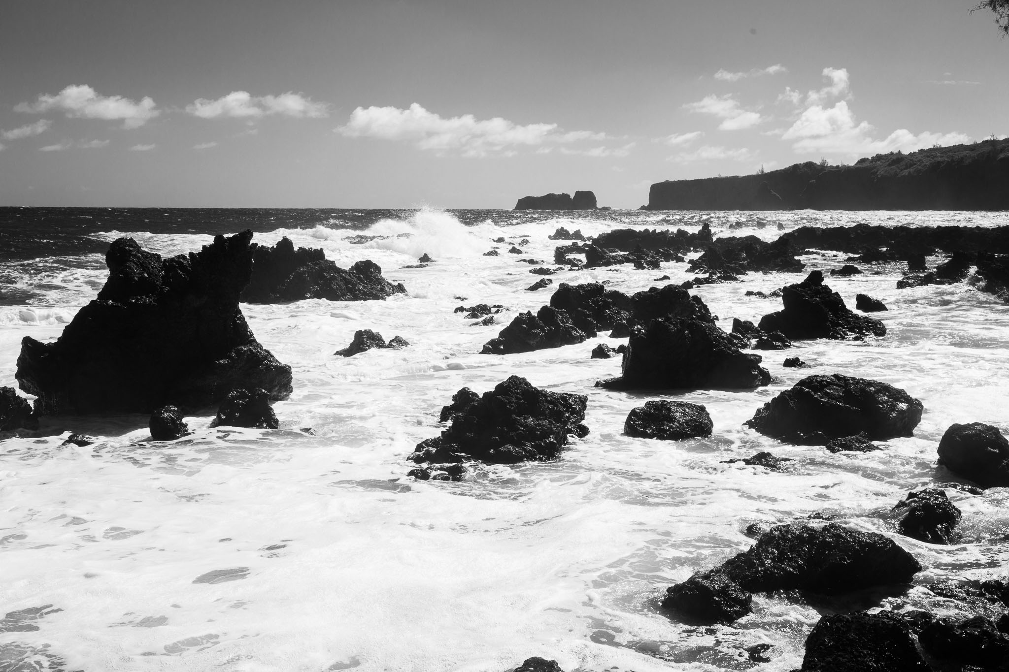 Hawaii2019-139.jpg