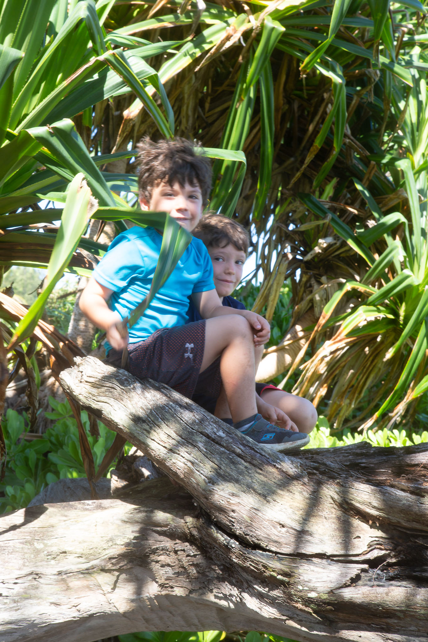 Hawaii2019-142.jpg