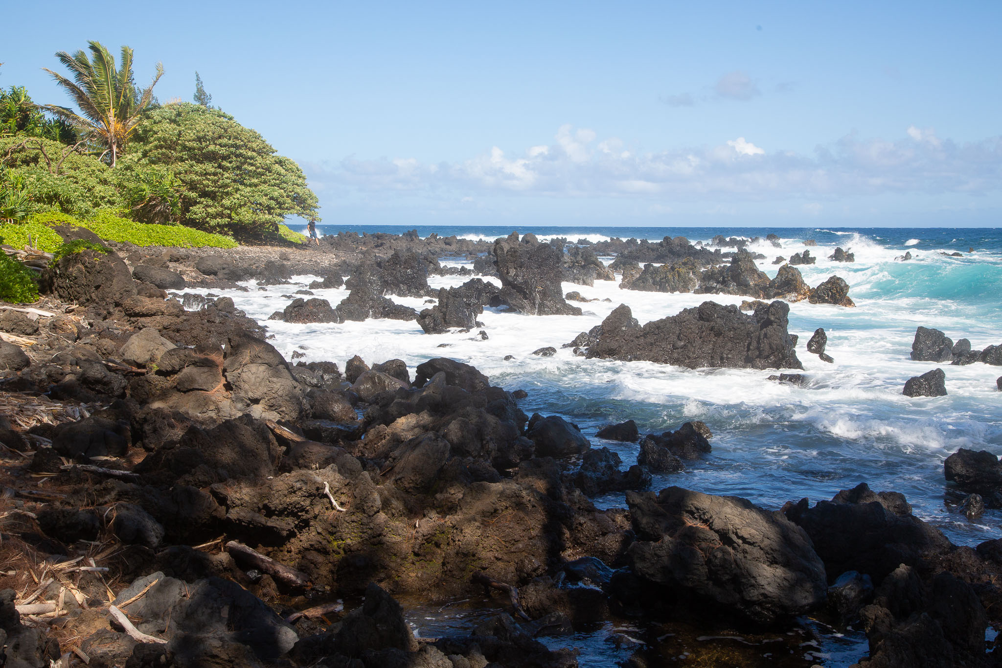 Hawaii2019-148.jpg