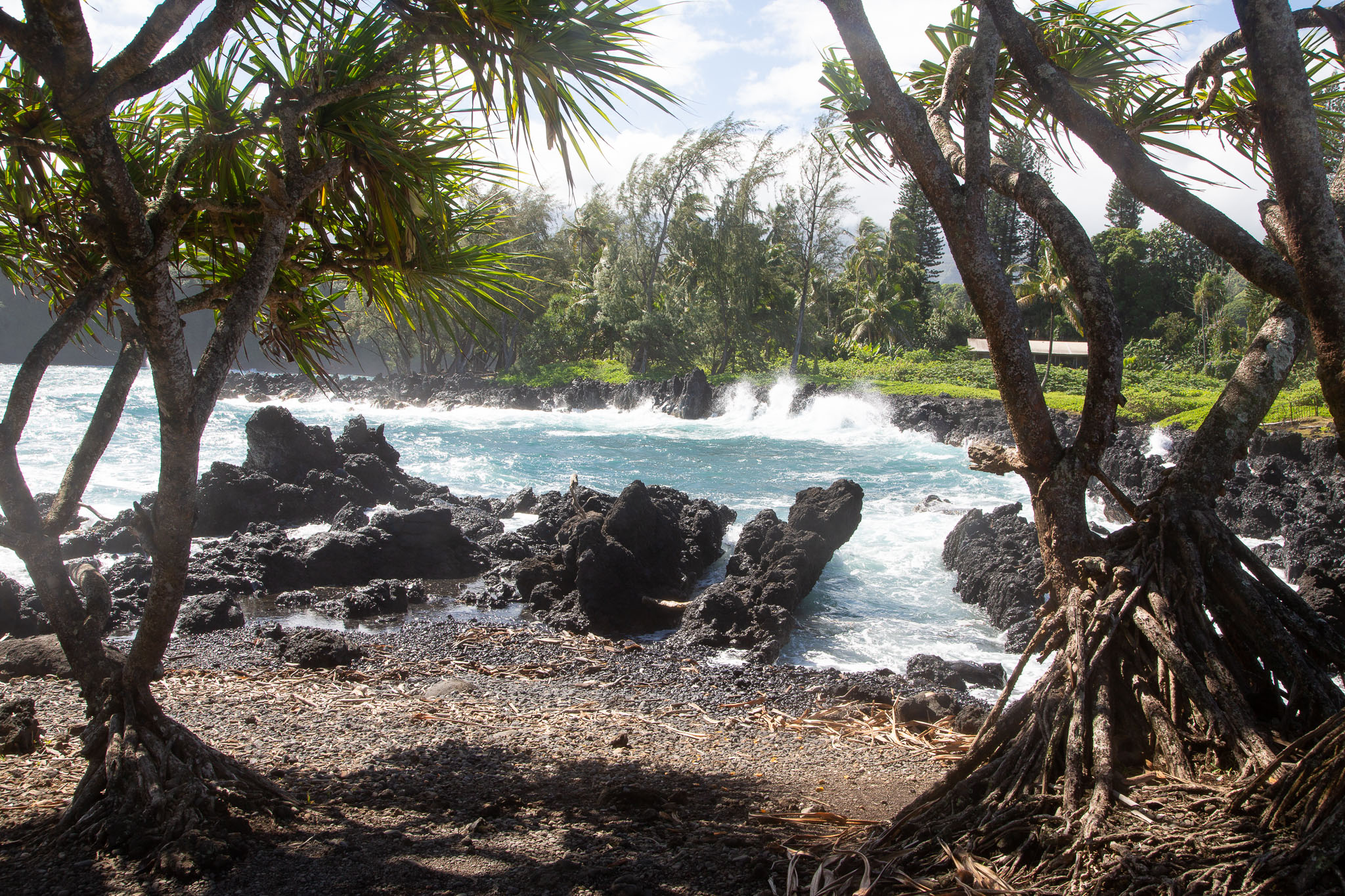 Hawaii2019-149.jpg