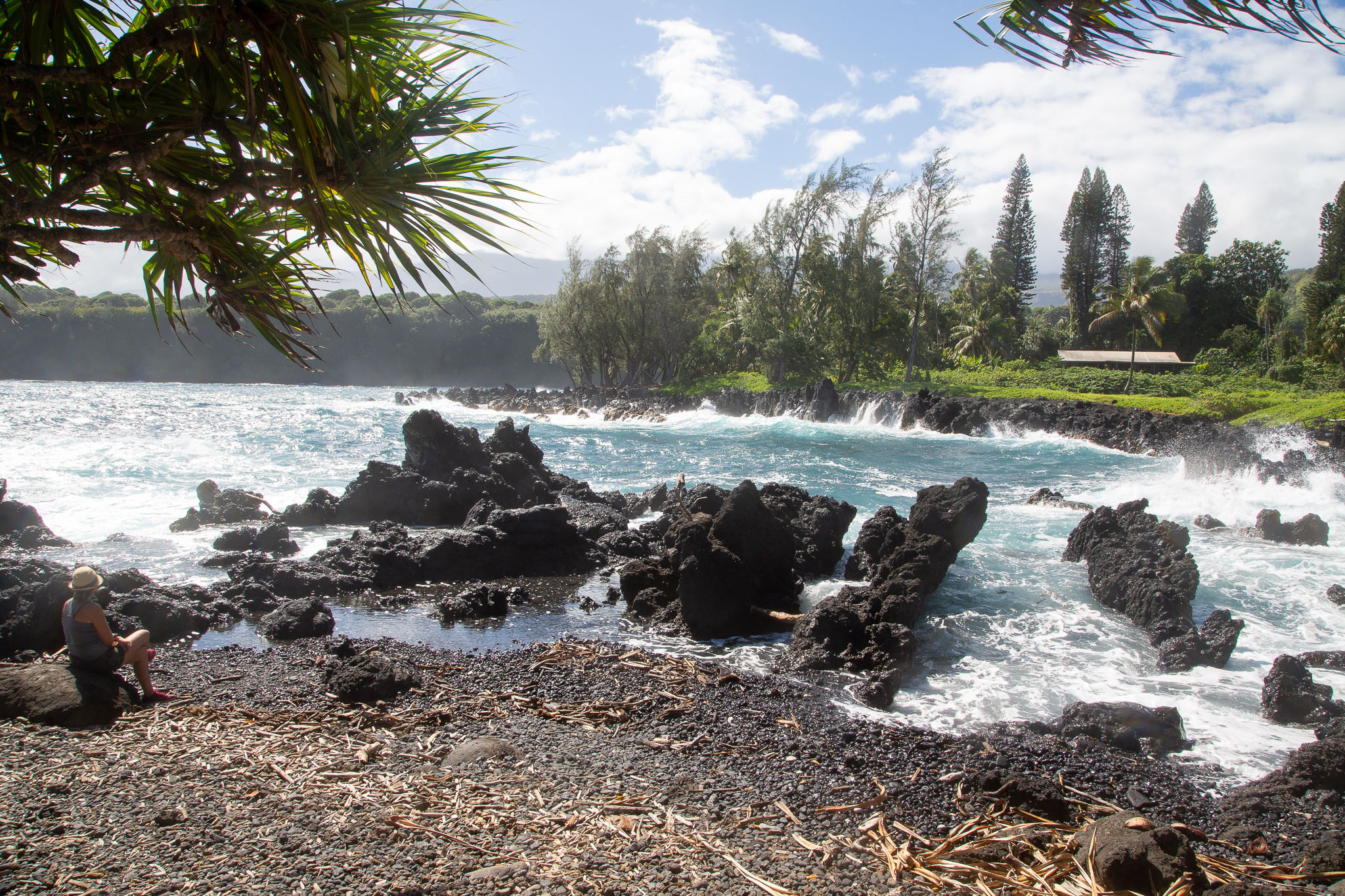 Hawaii2019-150.jpg