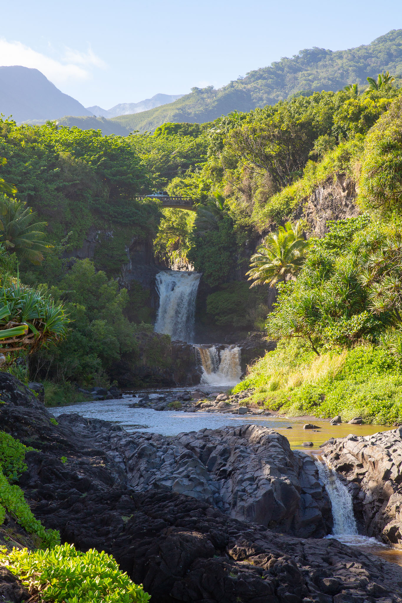 Hawaii2019-240.jpg